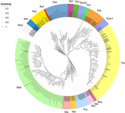 Frontiers | Genome-wide Identification Of Reverse Transcriptase Domains ...